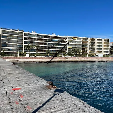 3 Pieces Palm Cannes